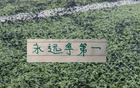 北京国安离开外援也是香！美加墨世界杯就有金玟哉 巴坎布